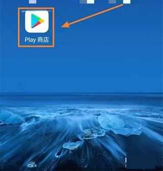 Google Play 服务