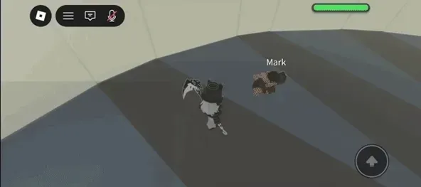 Roblox