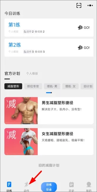 SynFit | 训记