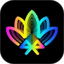 宝莲灯pro 应用图标